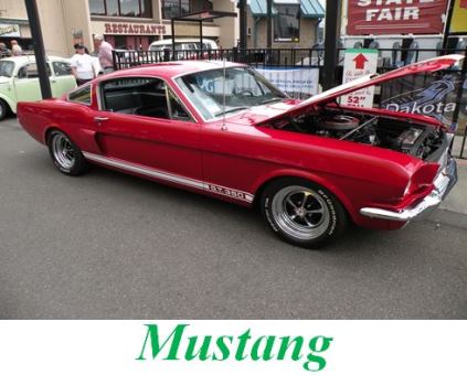 Mustangs